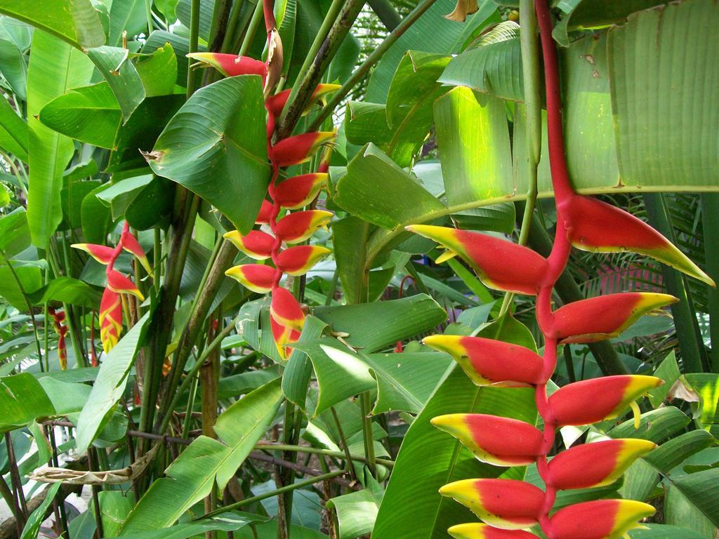 Posada El Jardin Ticul Exteriör bild