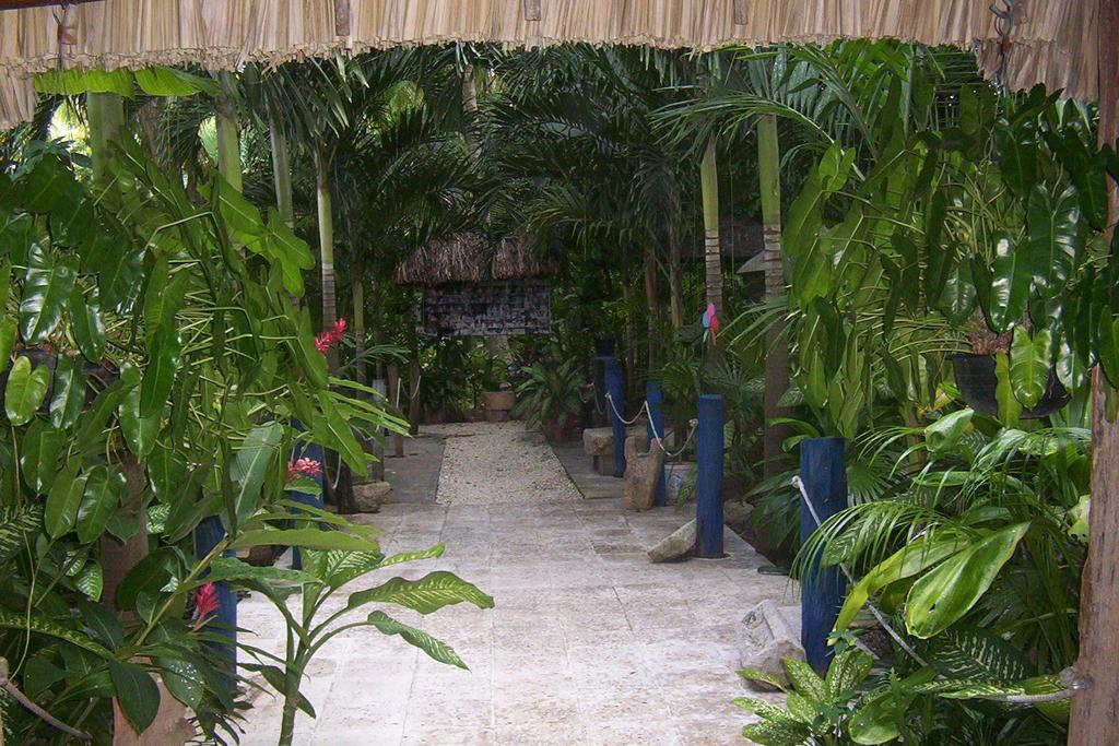 Posada El Jardin Ticul Exteriör bild