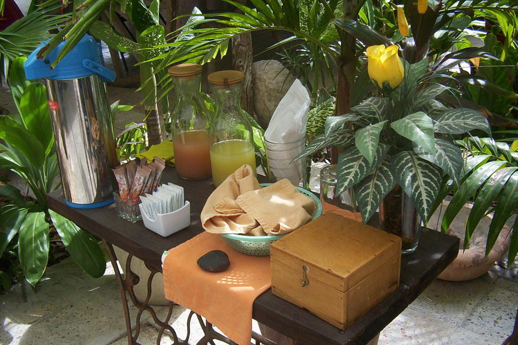 Posada El Jardin Ticul Exteriör bild